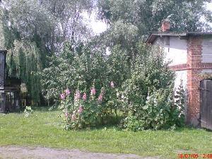 Domy, Wieldządz, Na sprzedaż