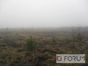 Działki, Różankowo, Na sprzedaż