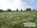 Działka na sprzedaż -
Lulkowo
- 1520.00 m2