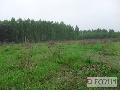 Działka  na sprzedaż - 
       Złotoria 
       	  - 1468.00  m2