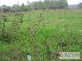Działka  na sprzedaż - 
       Złotoria 
       	  - 1000.00  m2