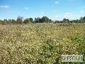 Działka  na sprzedaż - 
       Mała Nieszawka 
       	  - 1200.00  m2