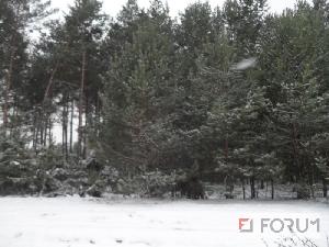 Działki, Kawęczyn, Na sprzedaż