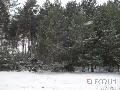 Działki, Kawęczyn, Na sprzedaż