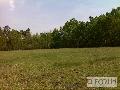 Działka na sprzedaż -
Gozdy
- 6.00 ha