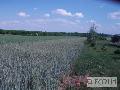 Działka  na sprzedaż - 
       Steklinek 
       	  - 135000.00  m2