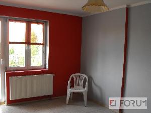 Domy, Toruń, Do wynajęcia