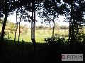 Działka  na sprzedaż - 
       Toporzysko 
       	  - 6812.00  m2