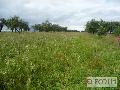 Działka  na sprzedaż - 
       Służewo 
       	  - 16000.00  m2