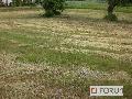 Działka  na sprzedaż - 
       Wielka Nieszawka 
       	  - 1360.00  m2