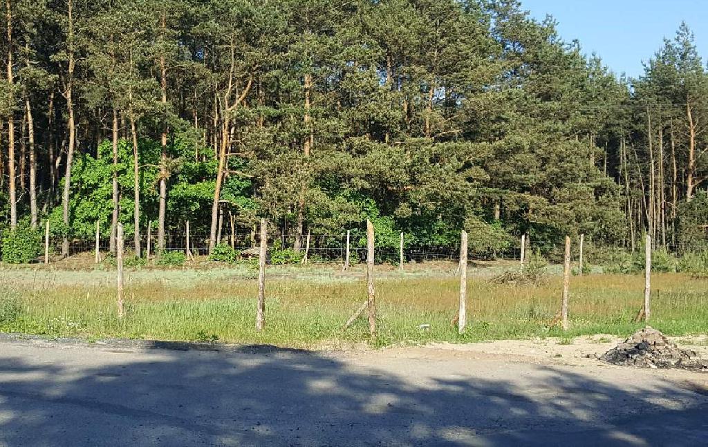 Ciechocinek Działka