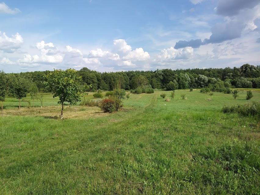Toruń Działka
