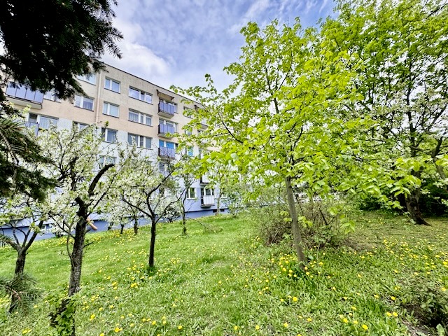 Toruń Mieszkanie