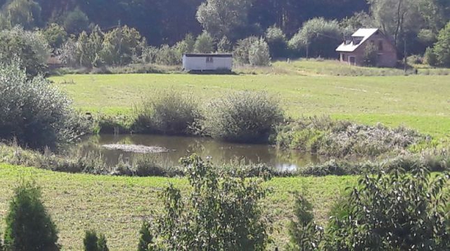 Grębocin Działka
