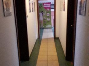 Toruń Lokal użytkowy Do wynajęcia