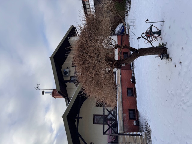 Toruń Dom Na sprzedaż